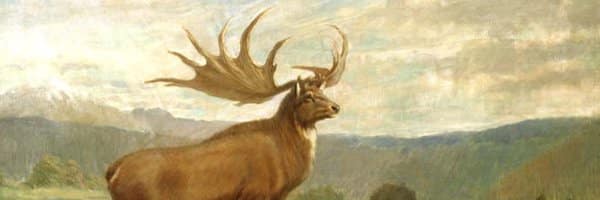 Especies Extintas de Ciervos