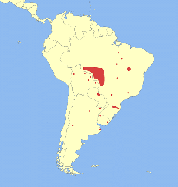 Información sobre el venado de las Pampas